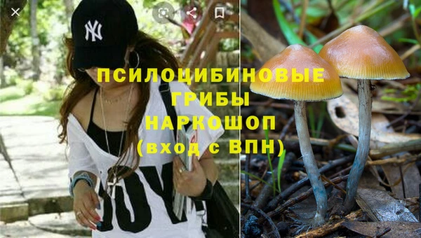 дживик Переславль-Залесский