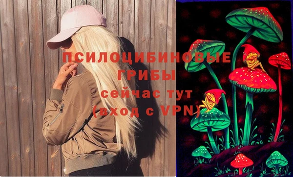 ECSTASY Балахна